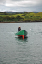 1 Seals in Dunvegan Isle of Skye  02